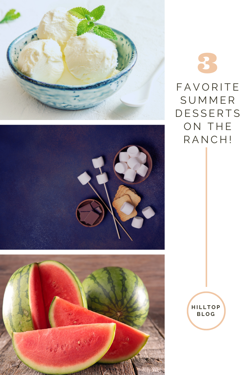 Our Top 3 Favorite Summer Desserts