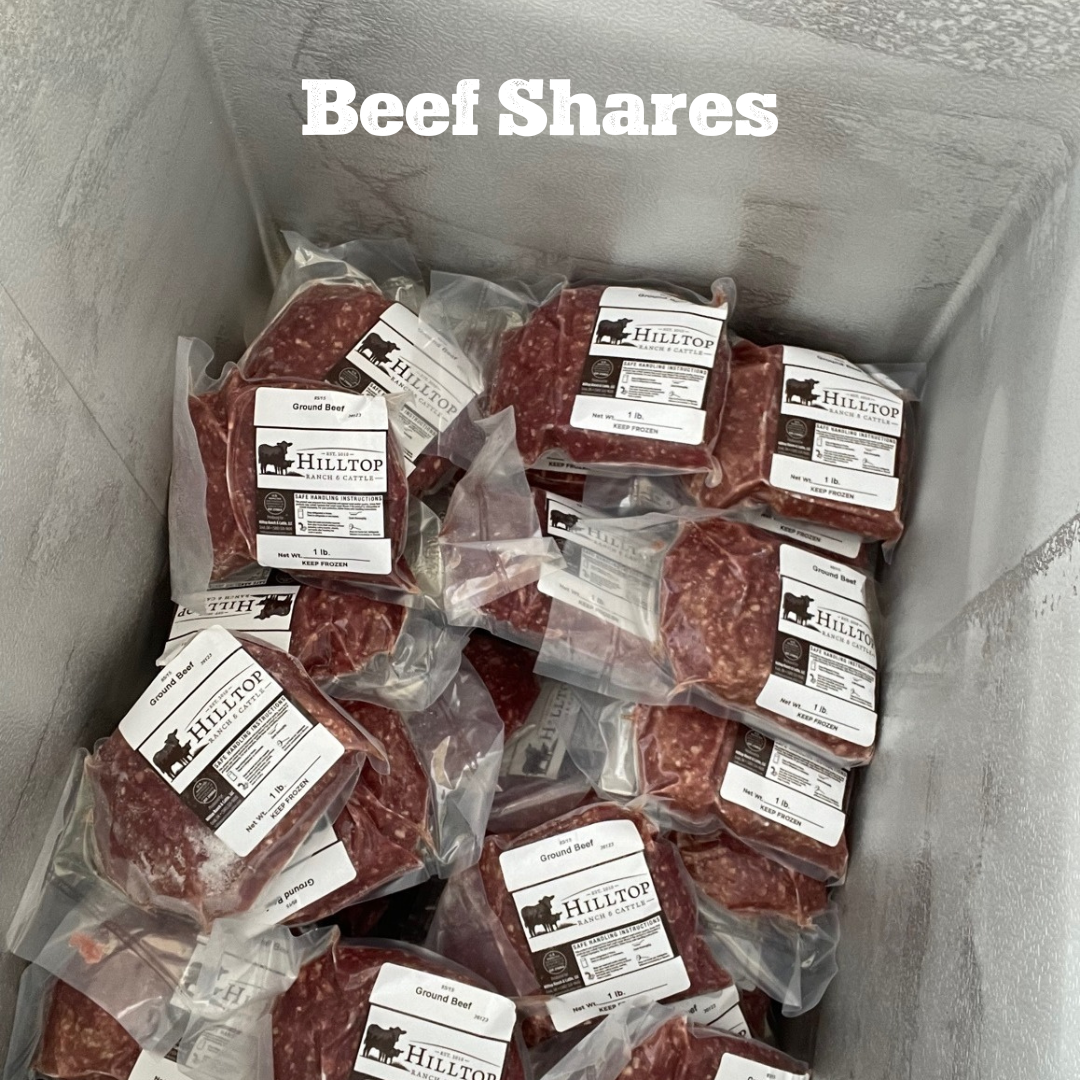 Beef Shares