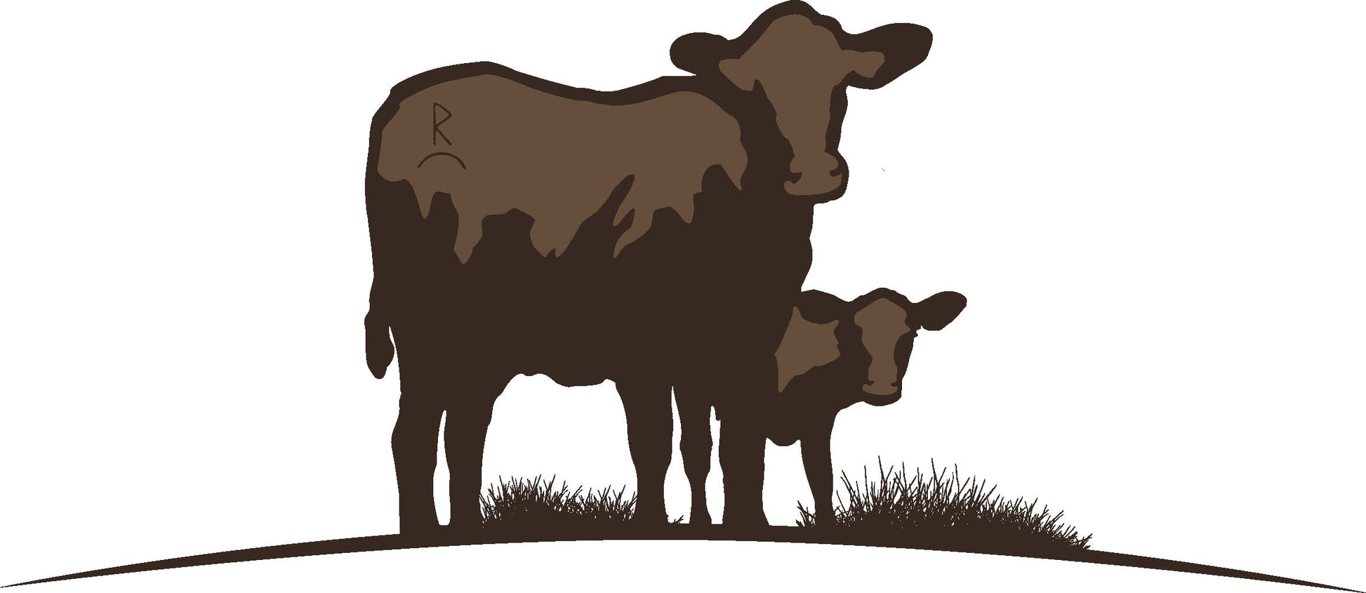 Best dry-aged pasture raised beef shares